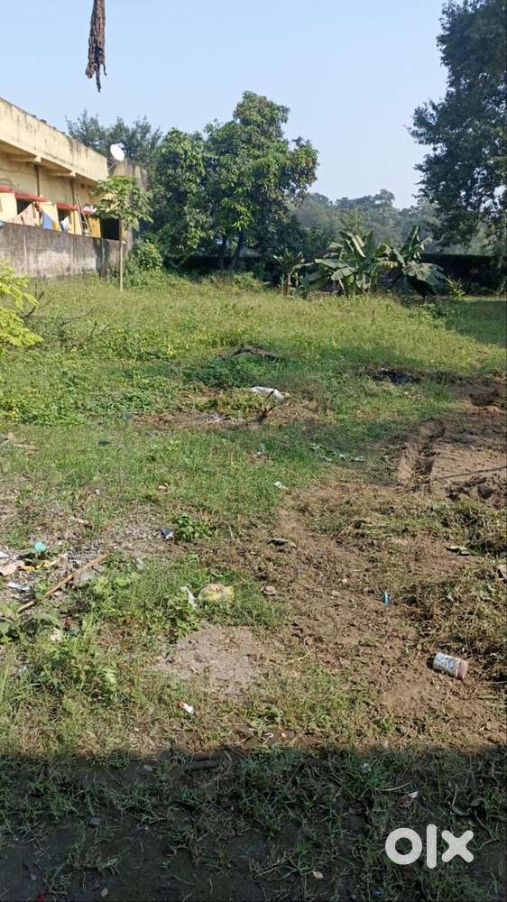 Residential/ commercial plot