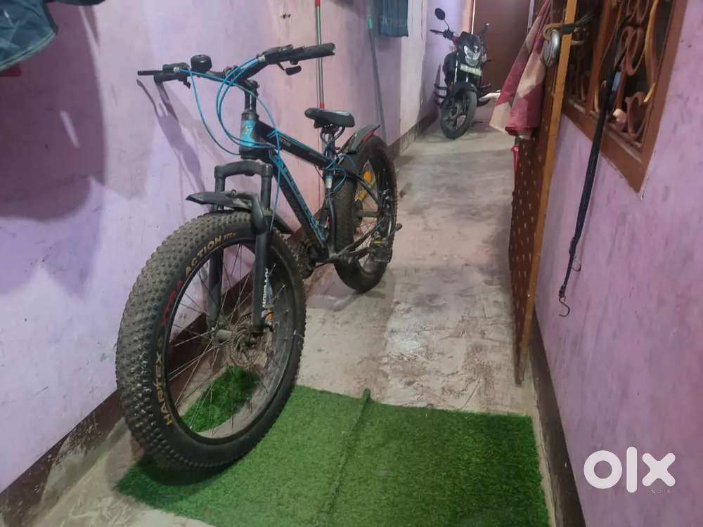 New cycle hai 2 month ago