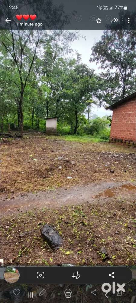 Savarde Gurav wadi 5 gunthe 500000/guntha