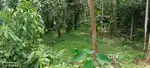 15 CENT PLOT , PER CENT 6.25 LAKH , CHIYYARAM