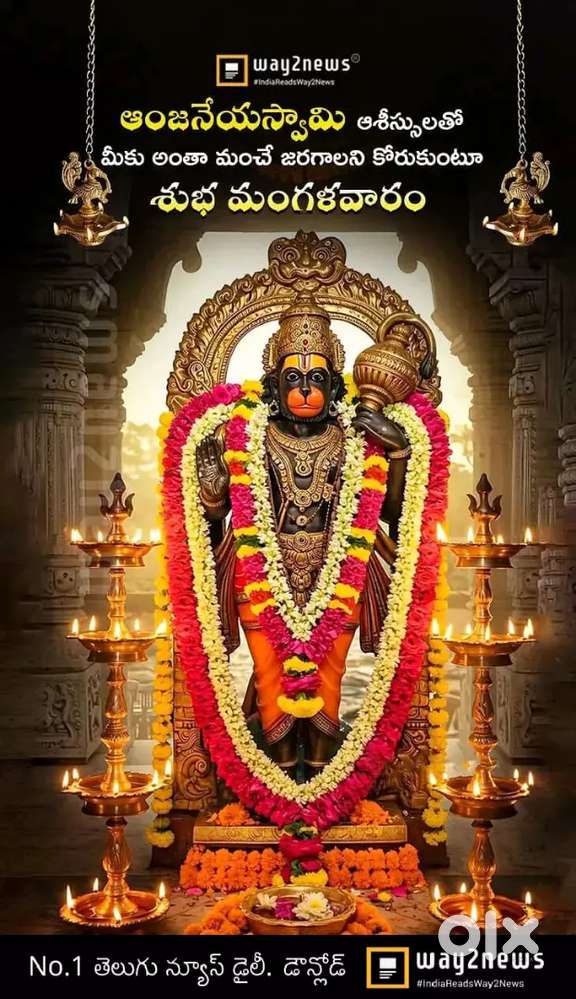 I need I want daily payment any job