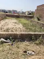 East facing kurali 186 gaj plot new colony best price
