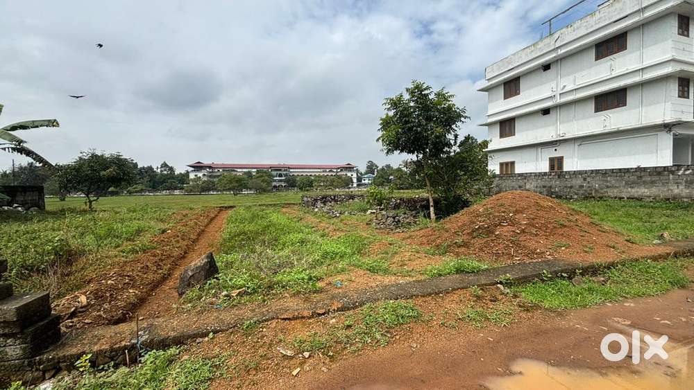 5-20 Cent House Plots Available Near Aluva, Sreemoolanagaram and CIAL