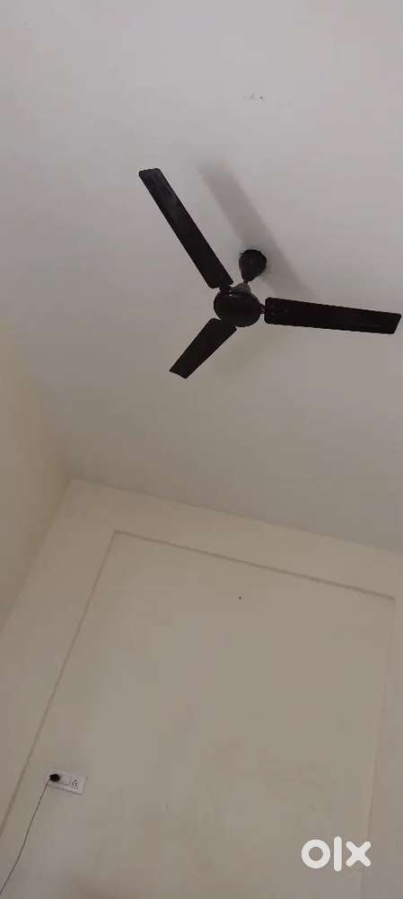 1 girl flatmate is required in 1 rk