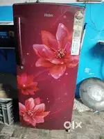 Haier refrigerator