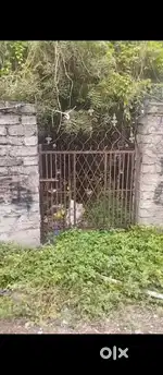 Urgent I want to sell my 50 sq yrd plot in quba colony excellent plot