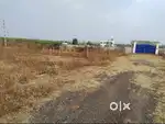 site for sale