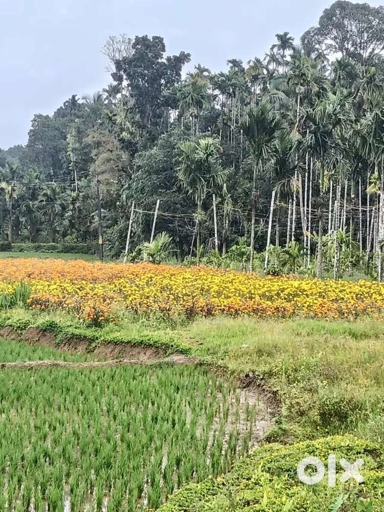 എല്ലാ കടികളും ഉണ്ടാക്കാൻ അറിയാം