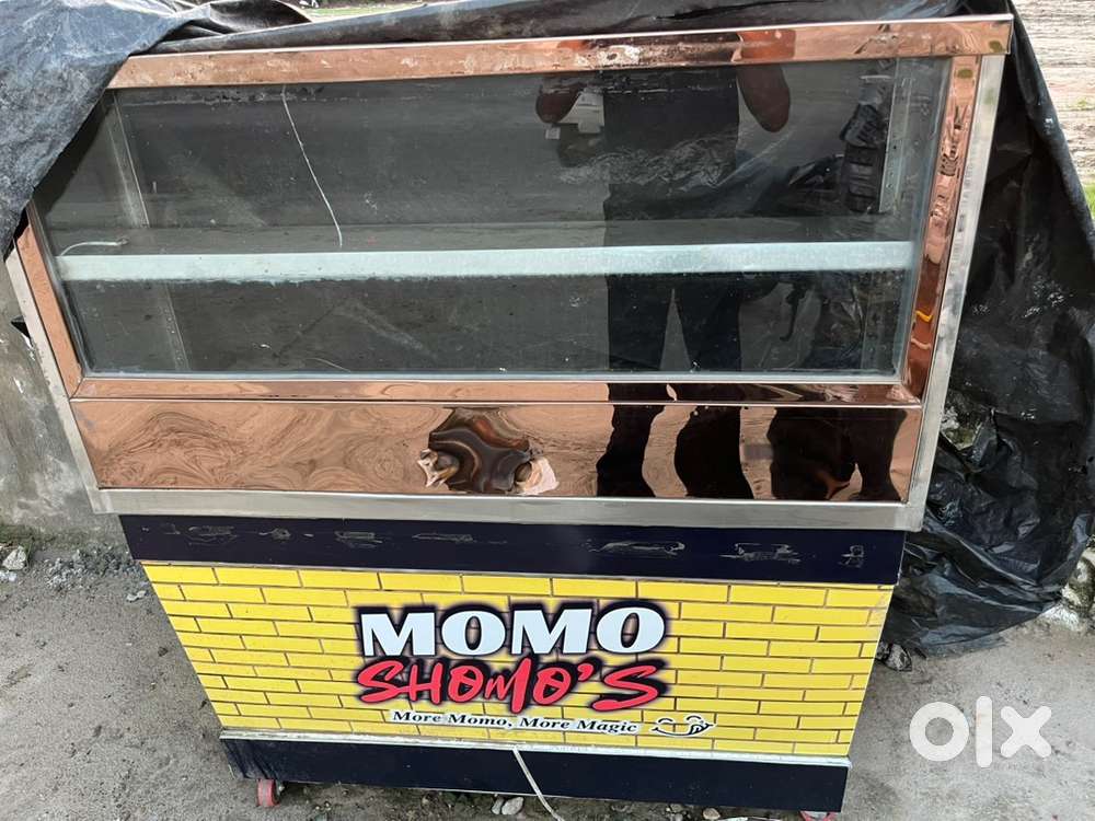 Momos cart three months old with two burners