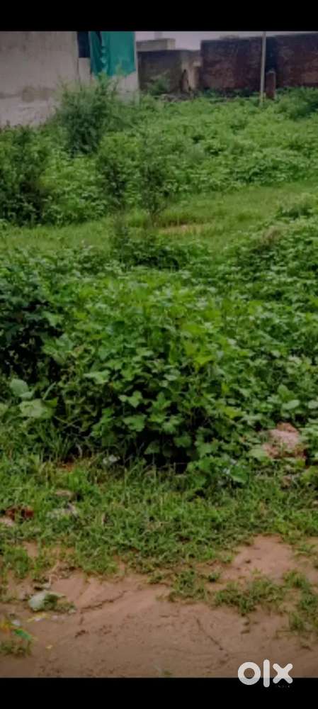 भूगोर बाईपास ब्लॉक C मत्स्यनगर