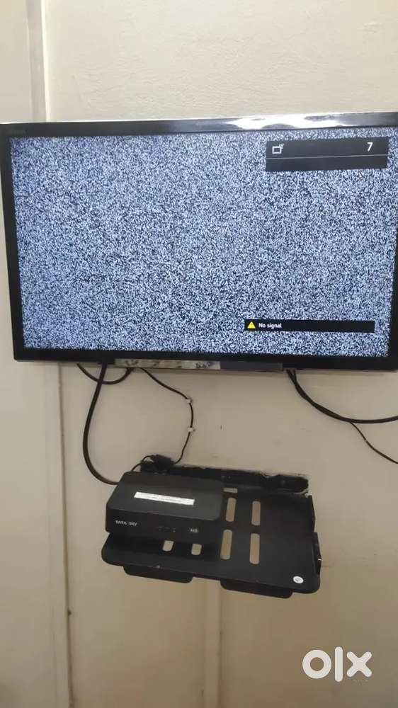 Tv 9 years old