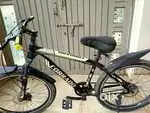 CORRADO brand cycle