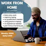 WORK FROM HOME ( WEEKLY EARNINGS)