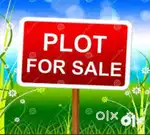 NA plot at bicholim