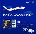 10th,12th, diploma pass freshers apply only - V