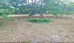Land sale Chengannur 30 cent at Angadical (South Kerala).