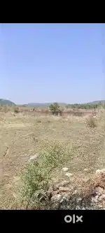 308 Acre Agriculture land in Talwara without any section
