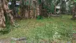 8.21 cent square plot