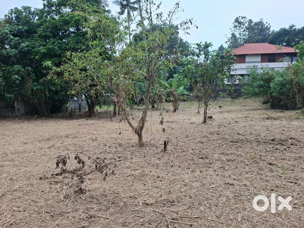 30 cent land for sale at UC College Junction, Aluva