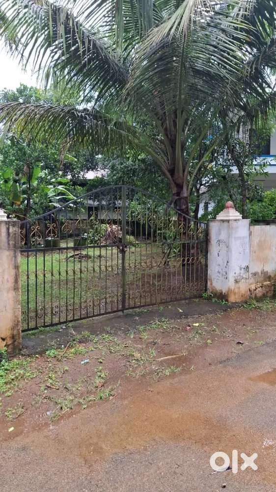 28,00000. Negotiable.8 cent housing plot ,open well, compound wall.