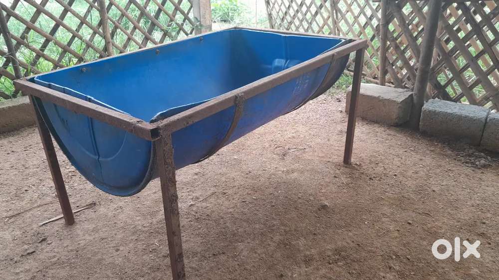 Grass Feeders 3 Available Iron stand