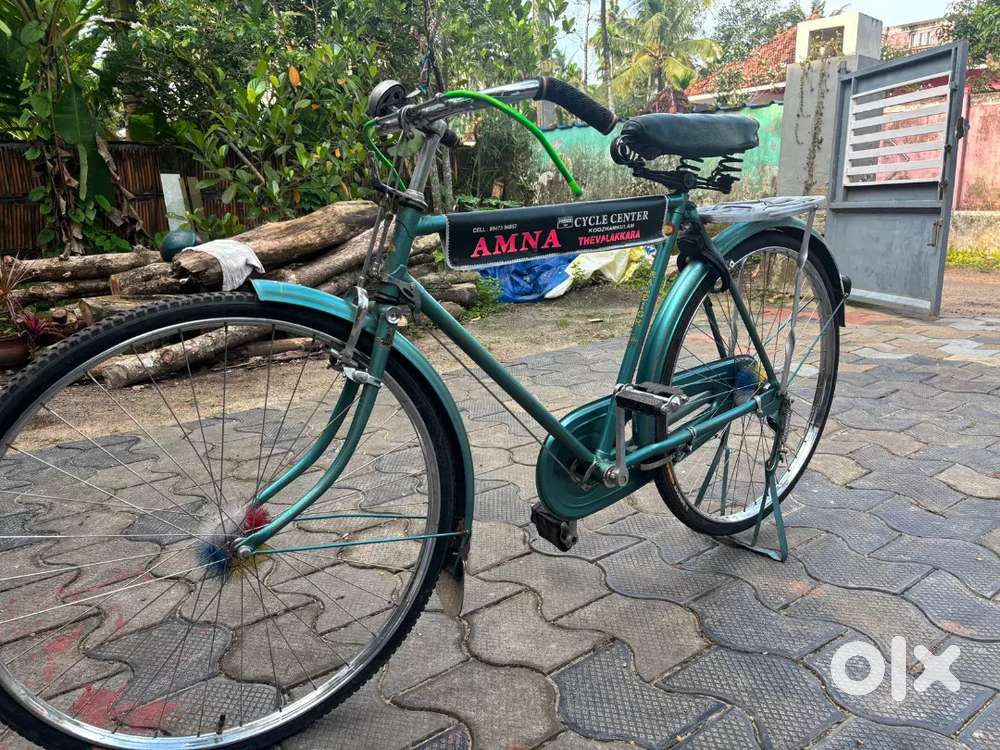 RALEIGH Bycycle
