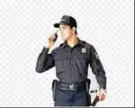 Wanted Security Guards (Hostel Available)