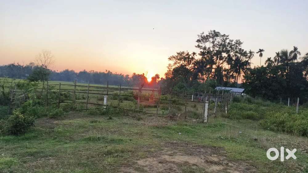 4 গন্ডা জায়গা খয়েরপুরে বিক্রি করা হবে