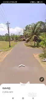 28 cent land with coconut tree