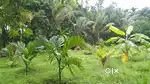 Land for Sale near Moodbidri