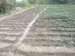 Lucknow पूर्वांचल एक्सप्रेसवे से टच 6800sqft