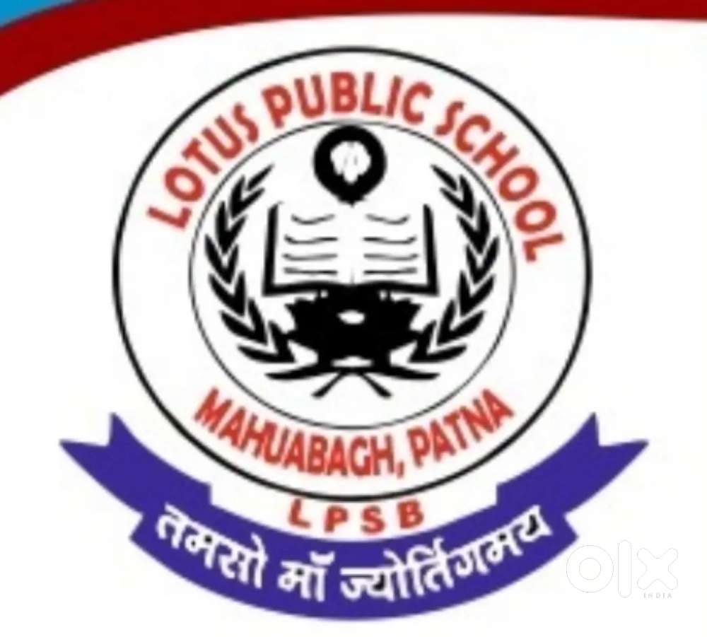 No experience teacher