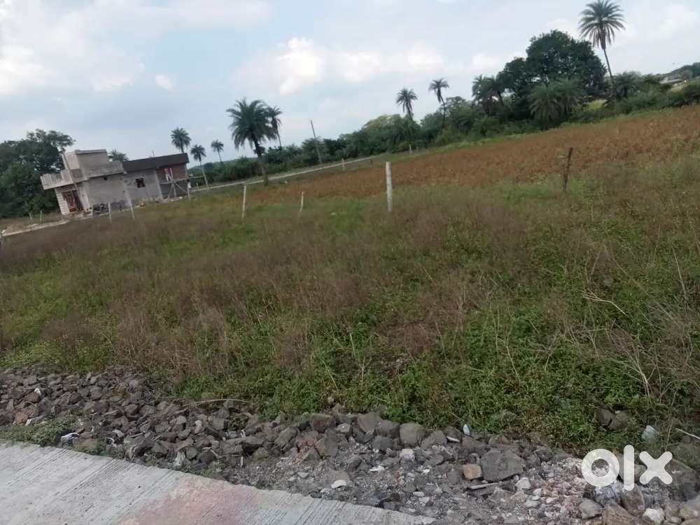 Yash reyal state agent