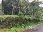 RESIDENTIAL HOUSE WITH 2 ACRES OF LAND