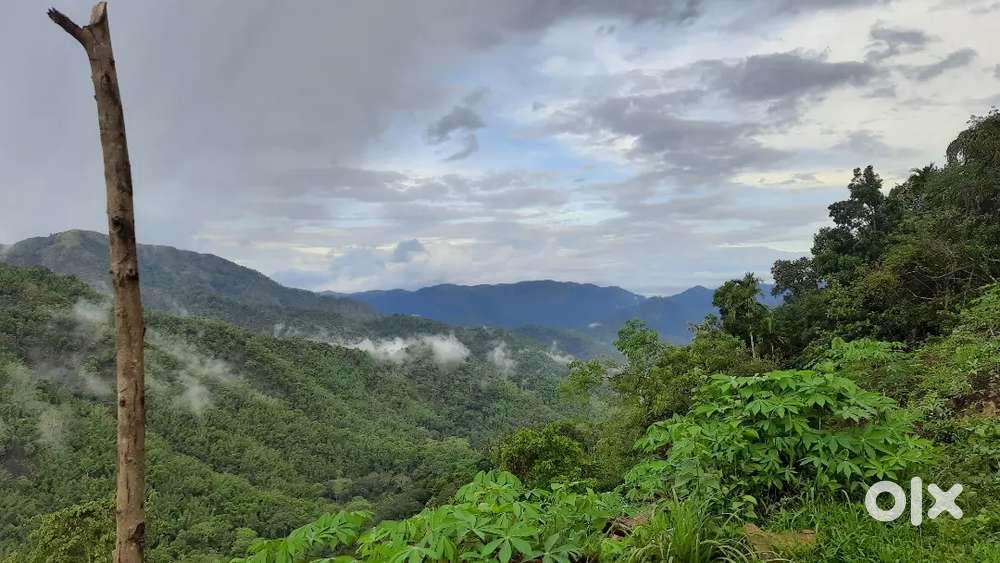 Suitable property for resort or farm