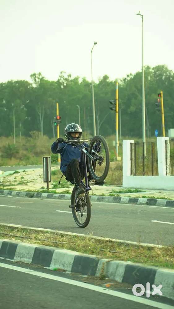 Subsin Double Evo (Professional Stunt Cycle)