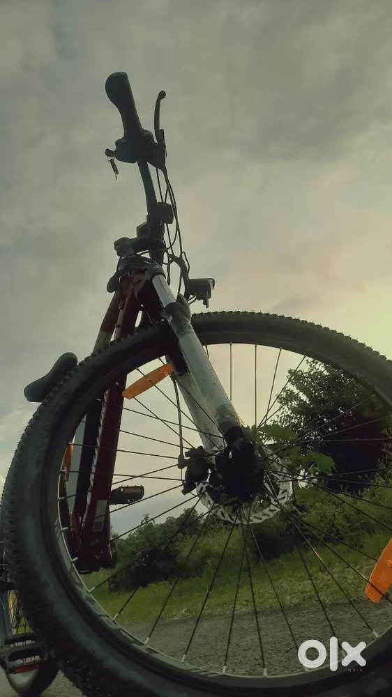 Trex cycle bought in 2024 mid june.I want to sell it if intrested co