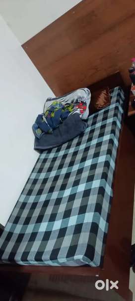 Pg for girls , full furnished, with wifi, AC, well equipped kitchen