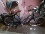 Basic lady cycle