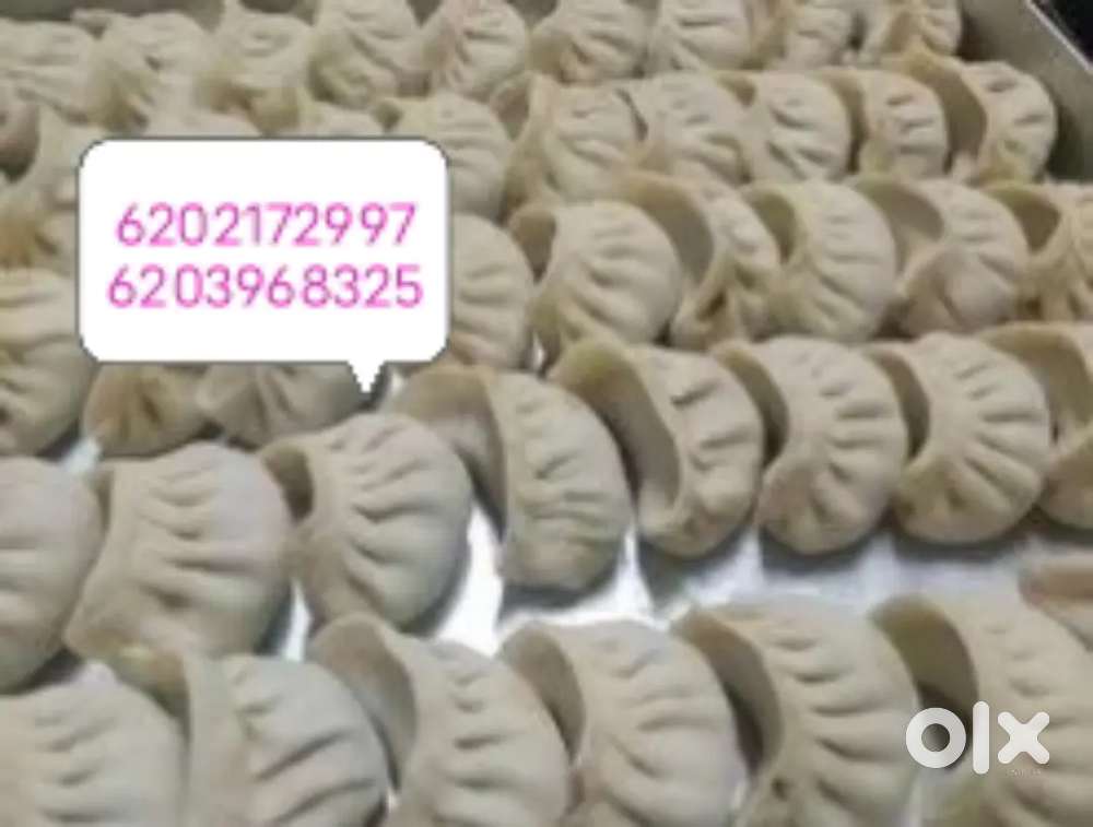Wholesale momos wallah