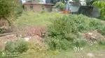 Plot for rent
