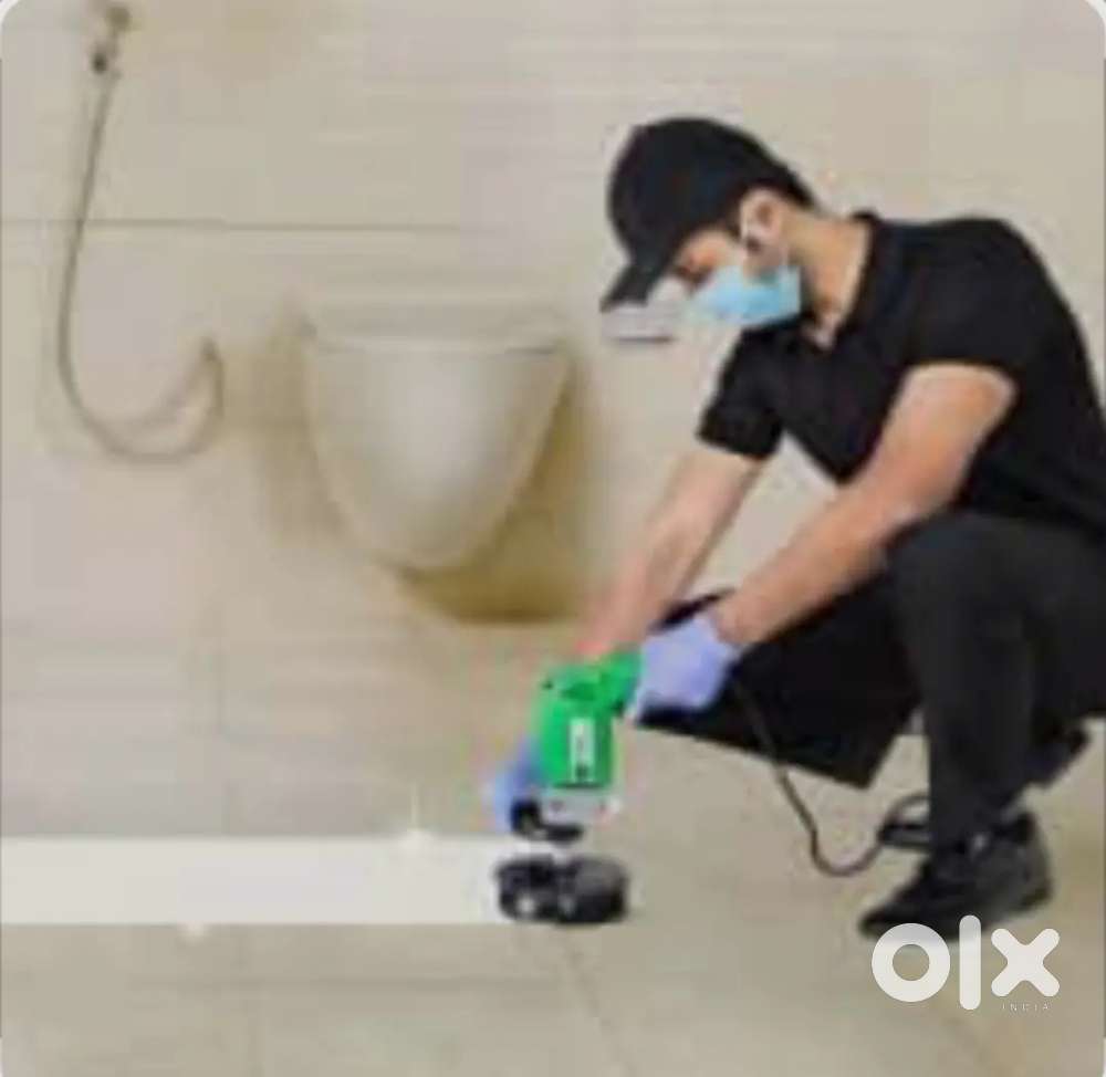 IIII PROFESSOR IIII CLEANING JOB IIIII