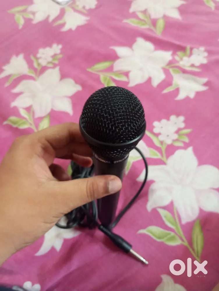 Power Mic for singers