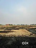 4 killa agriculture badal road village naruana