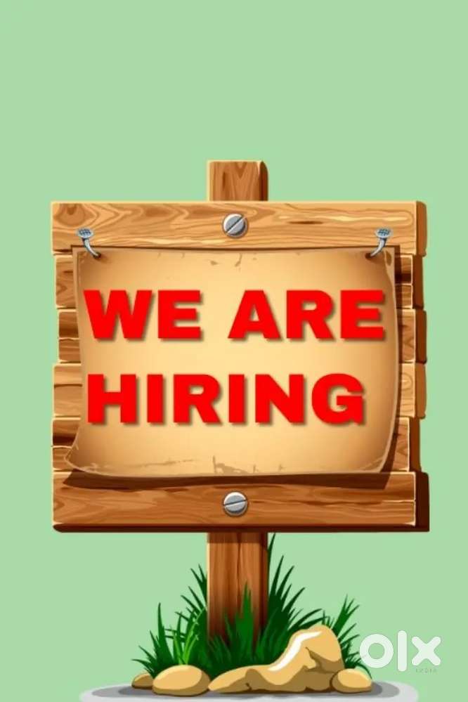 Personal Assistant Required Urgently