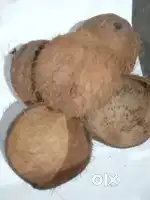 Coconut shell