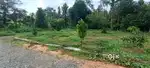 BUILD  YOUR DREAM HOME ON THE RIGHT PLOT NEAR ANGAMALY  PULIYANAM