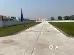 dream land