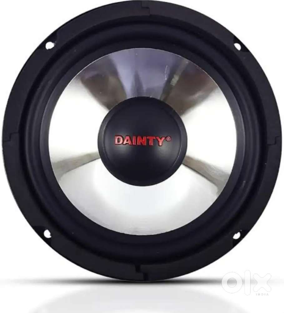 Dianity 12 inch subwoofer