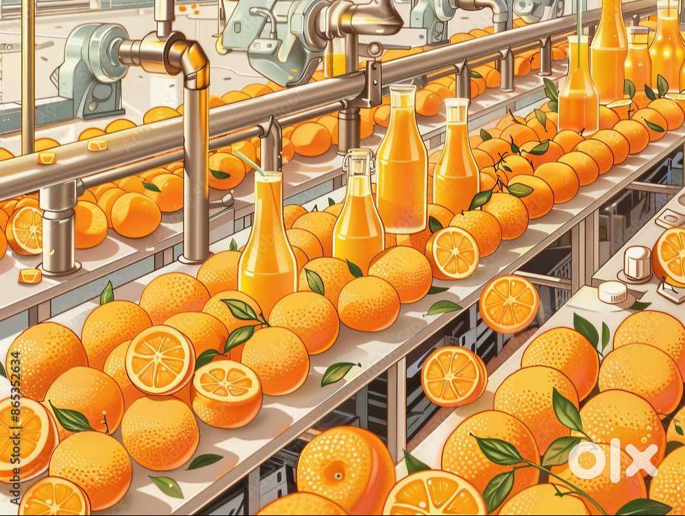 Lady Food production assistant